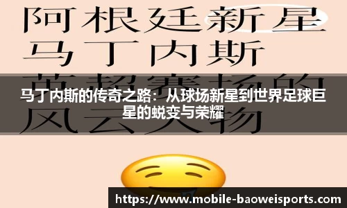 马丁内斯的传奇之路：从球场新星到世界足球巨星的蜕变与荣耀